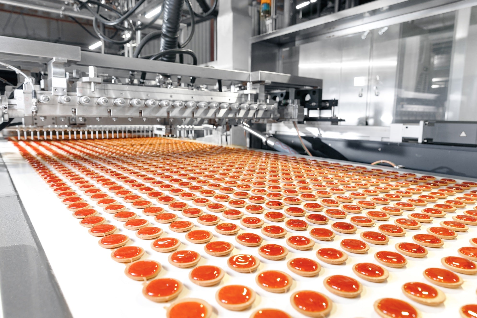 Production line with rows of small round products on a conveyor belt.