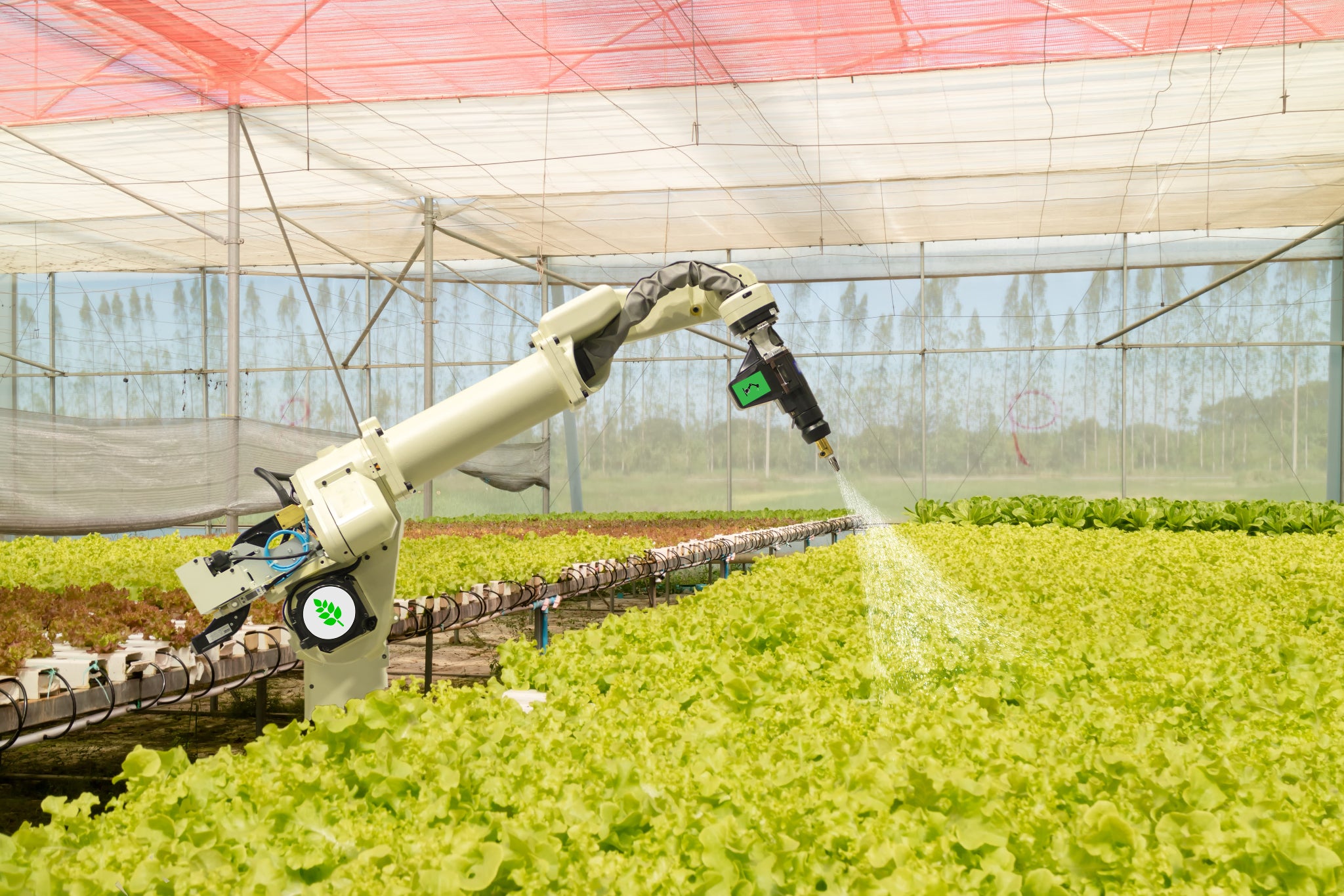 Robotic arm spraying plants in a greenhouse setting